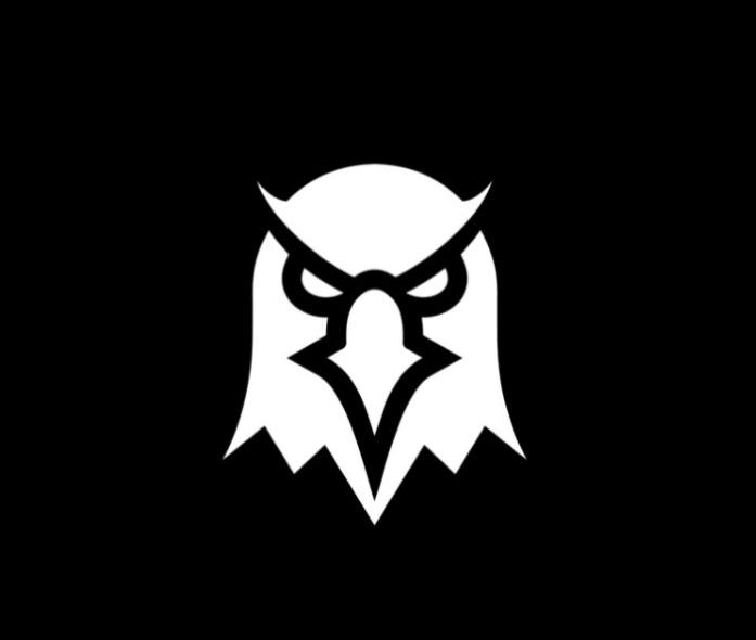 Owl Logo